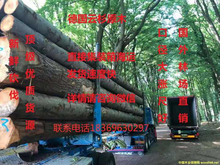  ��(gu��)��ɼ