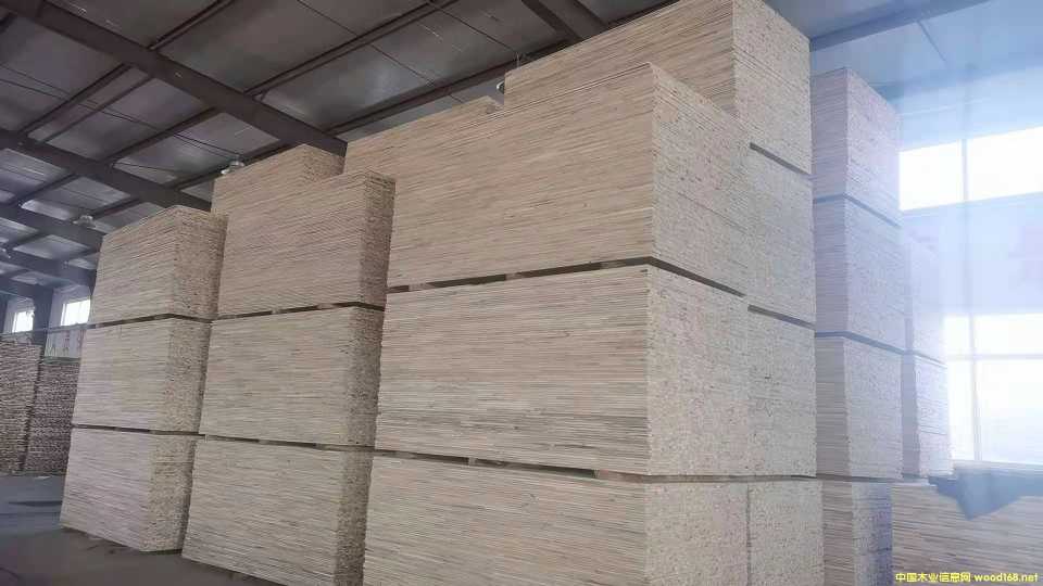 ��(x��)ľ��1