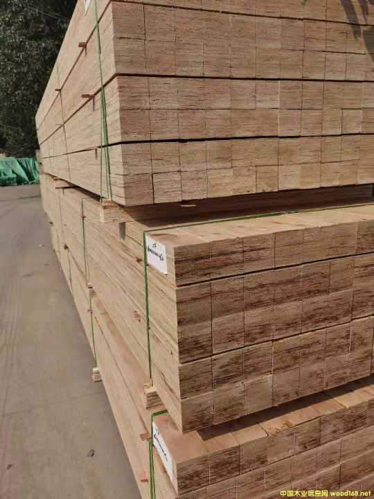 [��] ���ڰ��b������Ѭ��LVL�ӷe�� LVL���b��