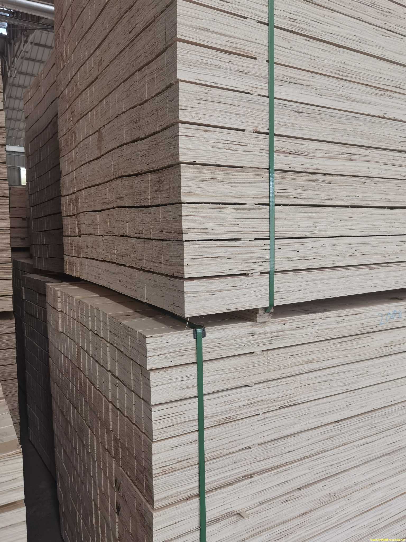 [��] ���b����Ѭ����ľLVL�ӷe�� ��Ѭ��LVLľ��