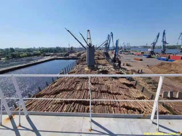 �W����ɼ��Ԕ��(x��)��B