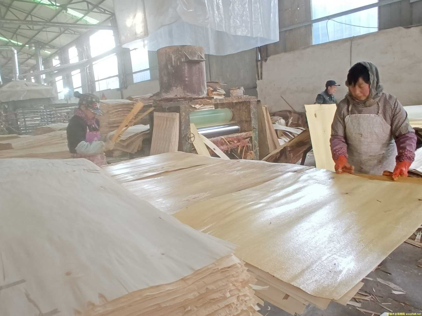 的詳細(xì)介紹