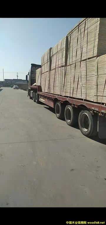  ��Ԕ��(x��)��B