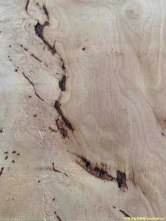 [��] ̩�����zľ�ΰ�