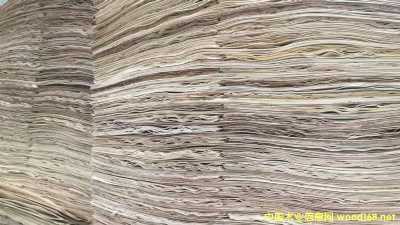  �M(j��n)�����zľ���Іΰ��Ԕ��(x��)��B