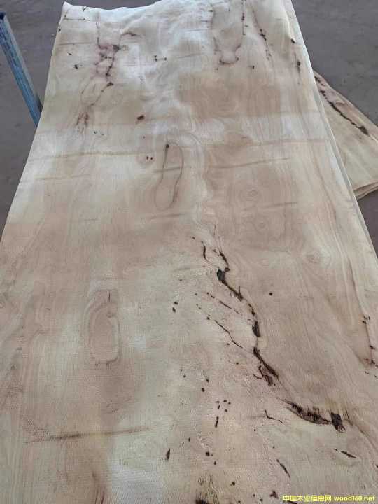 [��] ̩�����zľ�ΰ�