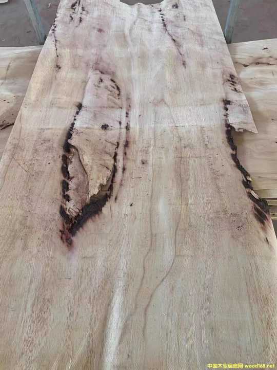 [��] ̩�����zľ�ΰ�