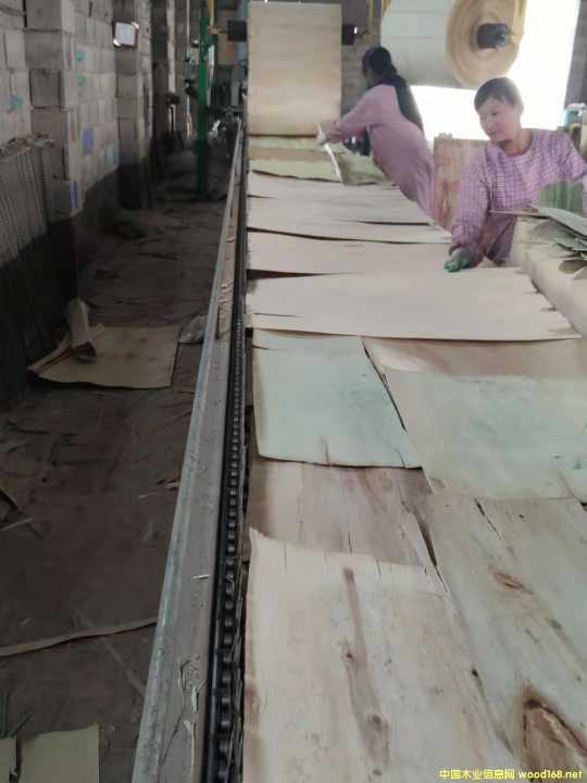 的詳細(xì)介紹