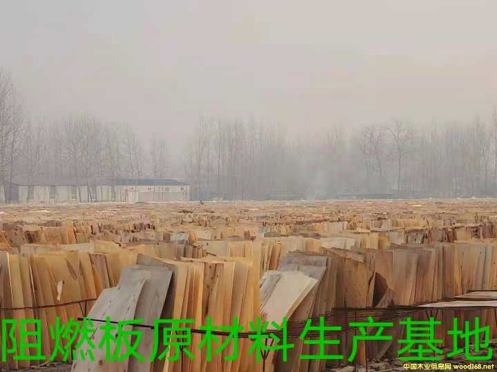 的詳細(xì)介紹