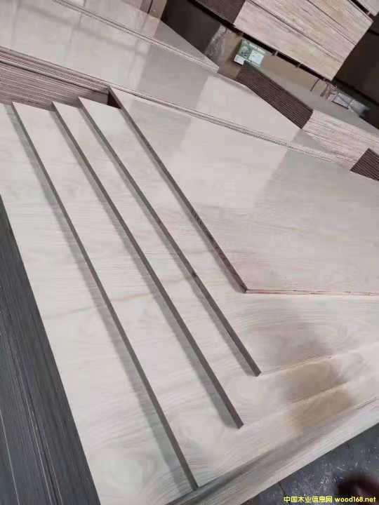 的詳細(xì)介紹