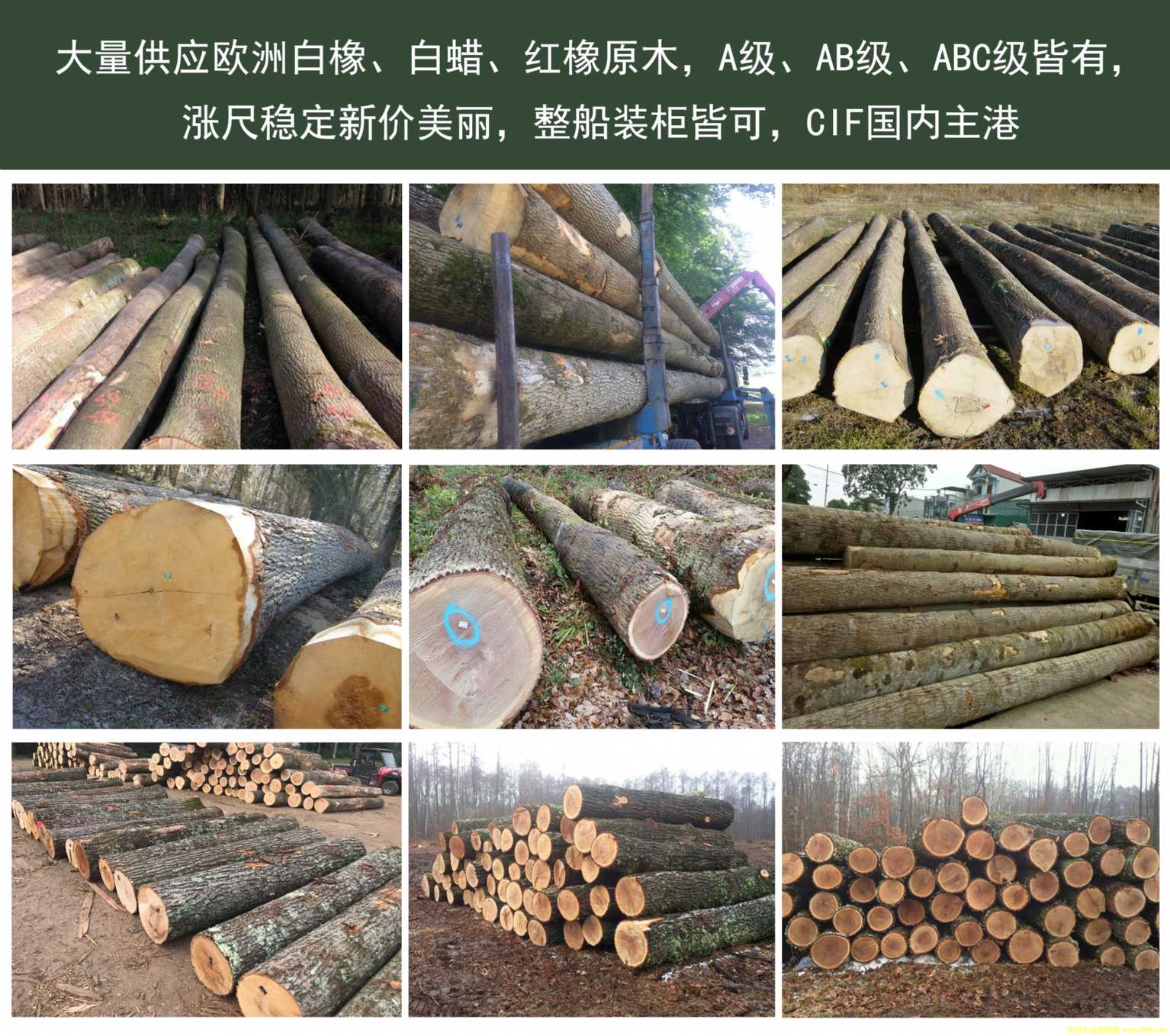 [��] ��������(y��ng)��(gu��)��Ϟ���������t��ԭľ