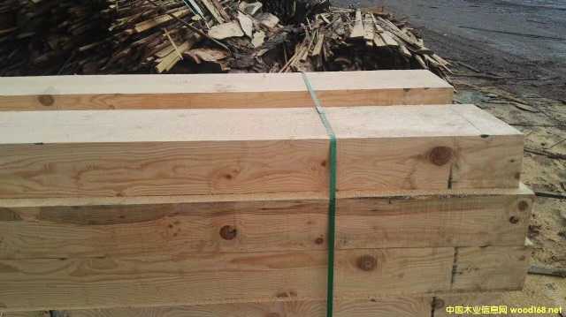 ���������Ž����������̷�ľ