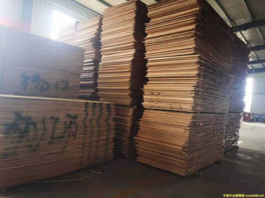 ������ȫ��ߙn�Ҿ߰����B(t��i)��