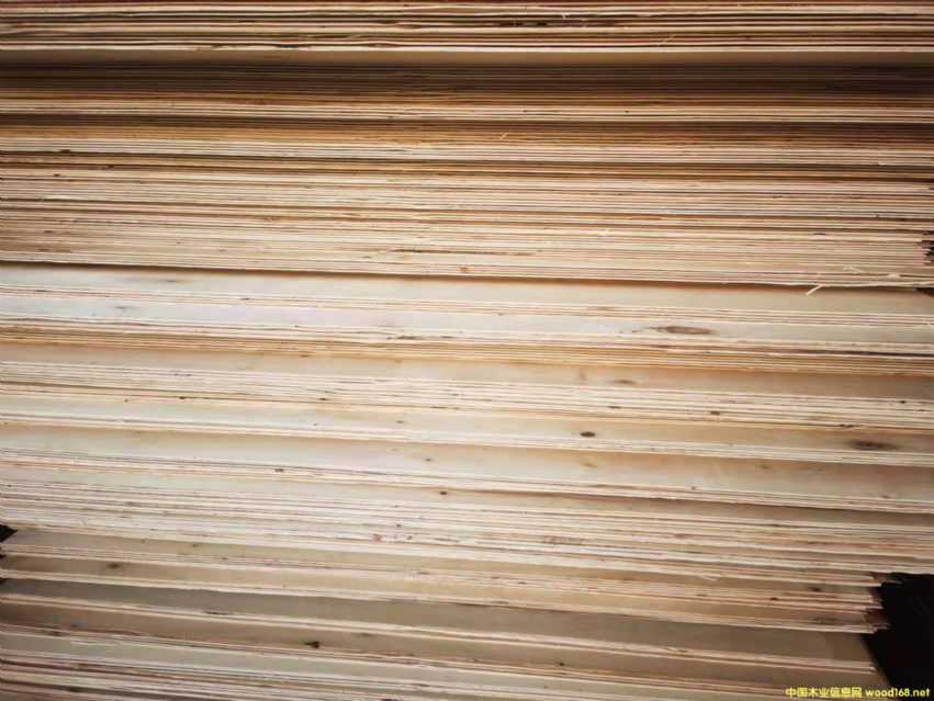 ������ȫ��ߙn�Ҿ߰����B(t��i)��