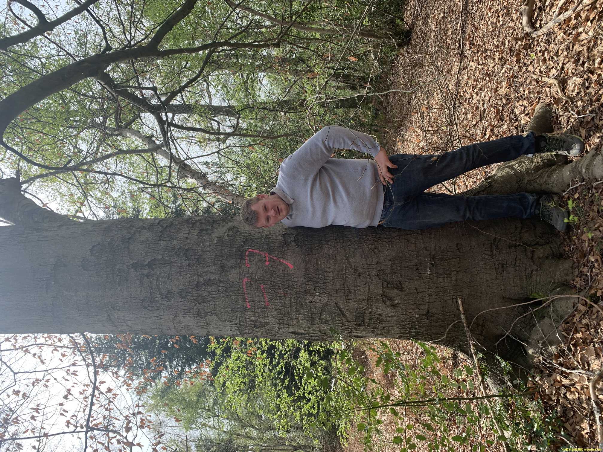 �c(di��n)���鿴�W�ޙ�ľ�Ŵ�DƬ