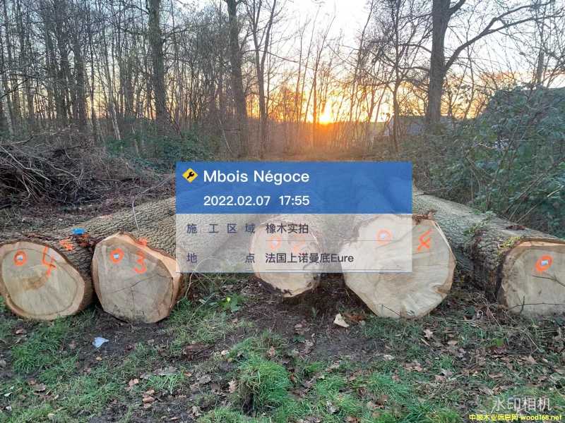 �c(di��n)���鿴�W�ް���Ŵ�DƬ