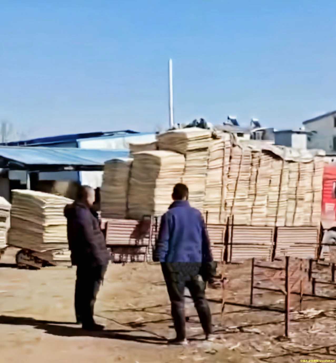 ��ľ�AоƤ��Ԕ��(x��)��B