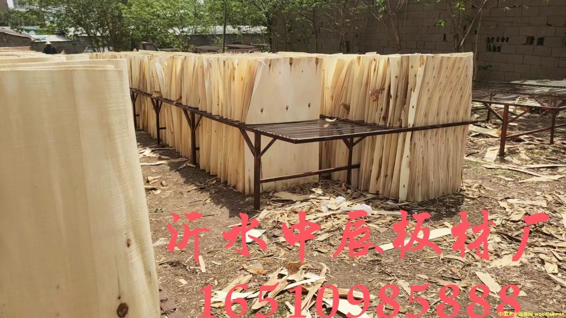 ��ľ�ΰ��Ԕ��(x��)��B