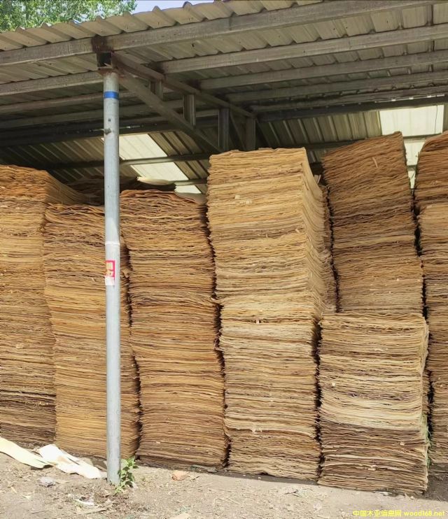 ��ľ�ΰ��Ԕ��(x��)��B