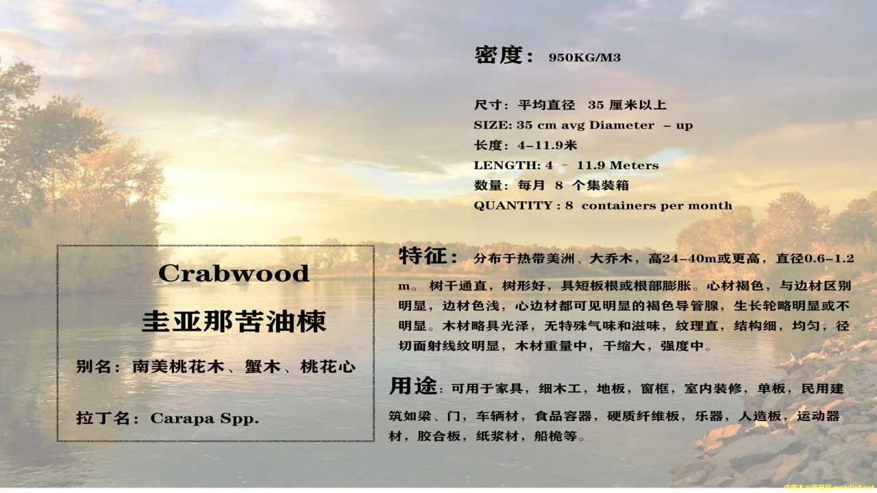 �灆�ǿ���鬵�Ԕ����B