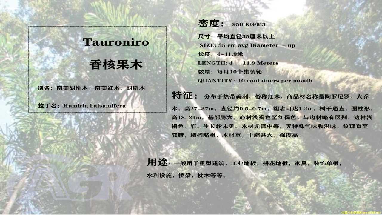 ��˹�ľ��Ԕ����B