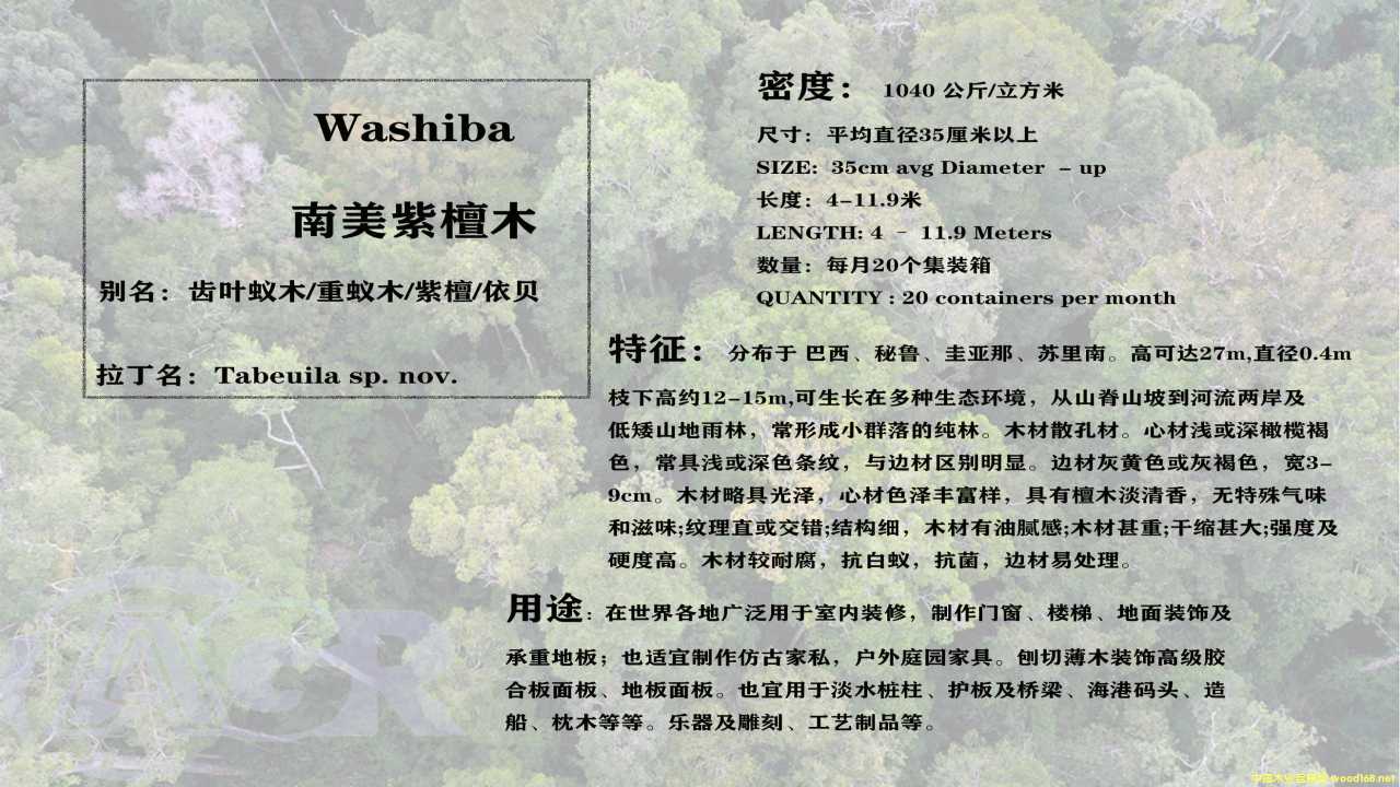 ��̴ľ��Ԕ����B