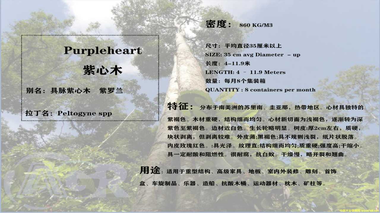 ����ľ��Ԕ����B