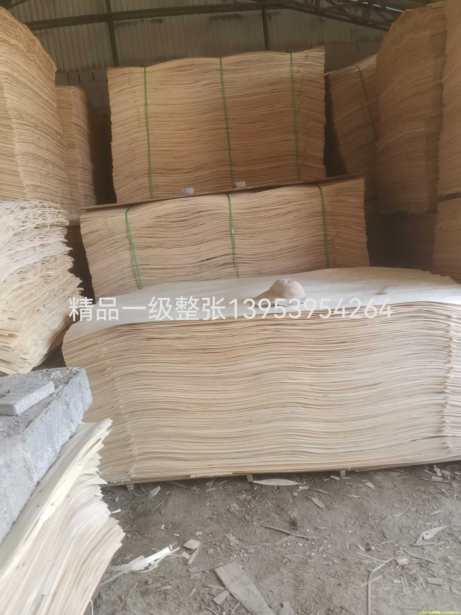 一級整張的詳細(xì)介紹