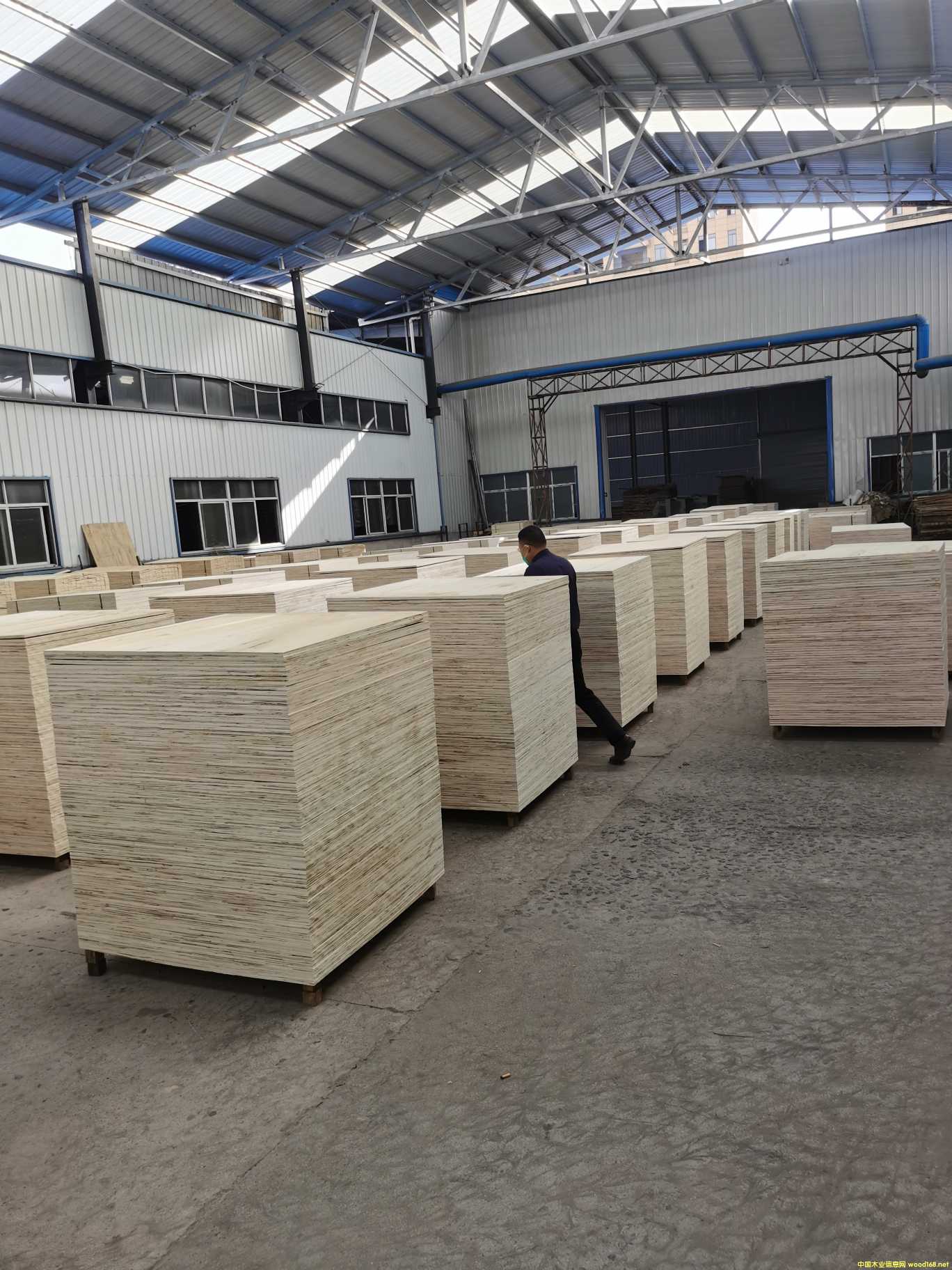 [��] �z�ϰ������b�壬�бP�������Ͱ壬LVL���l