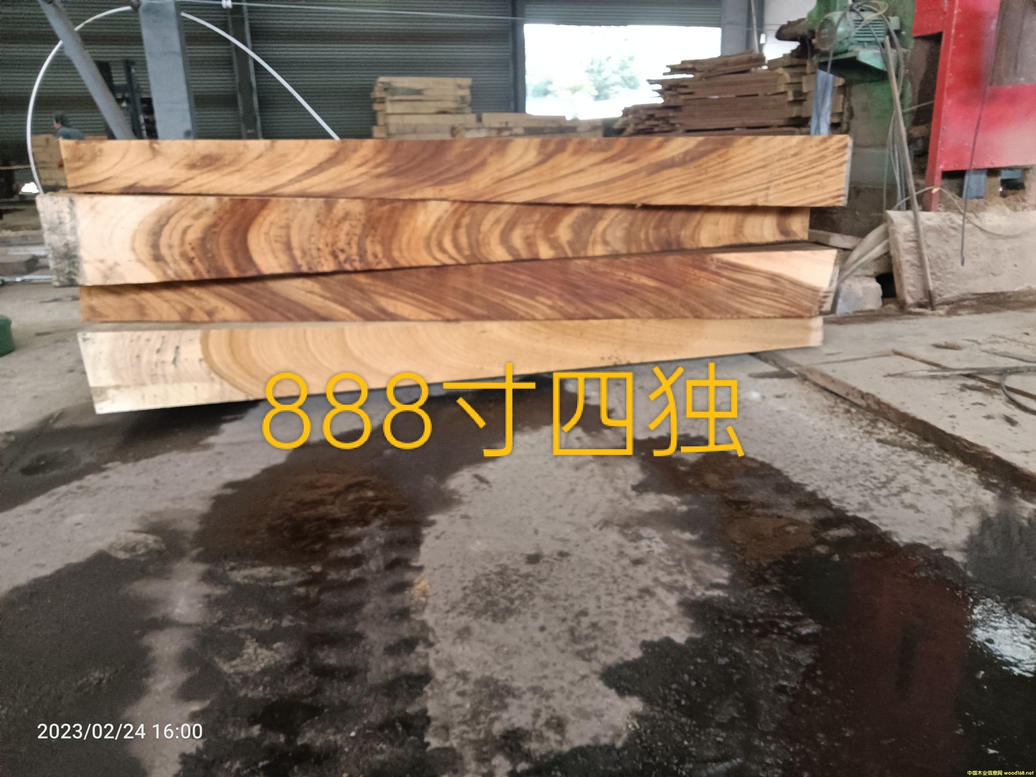 �Sõ��۲��Ϫ�(d��)��