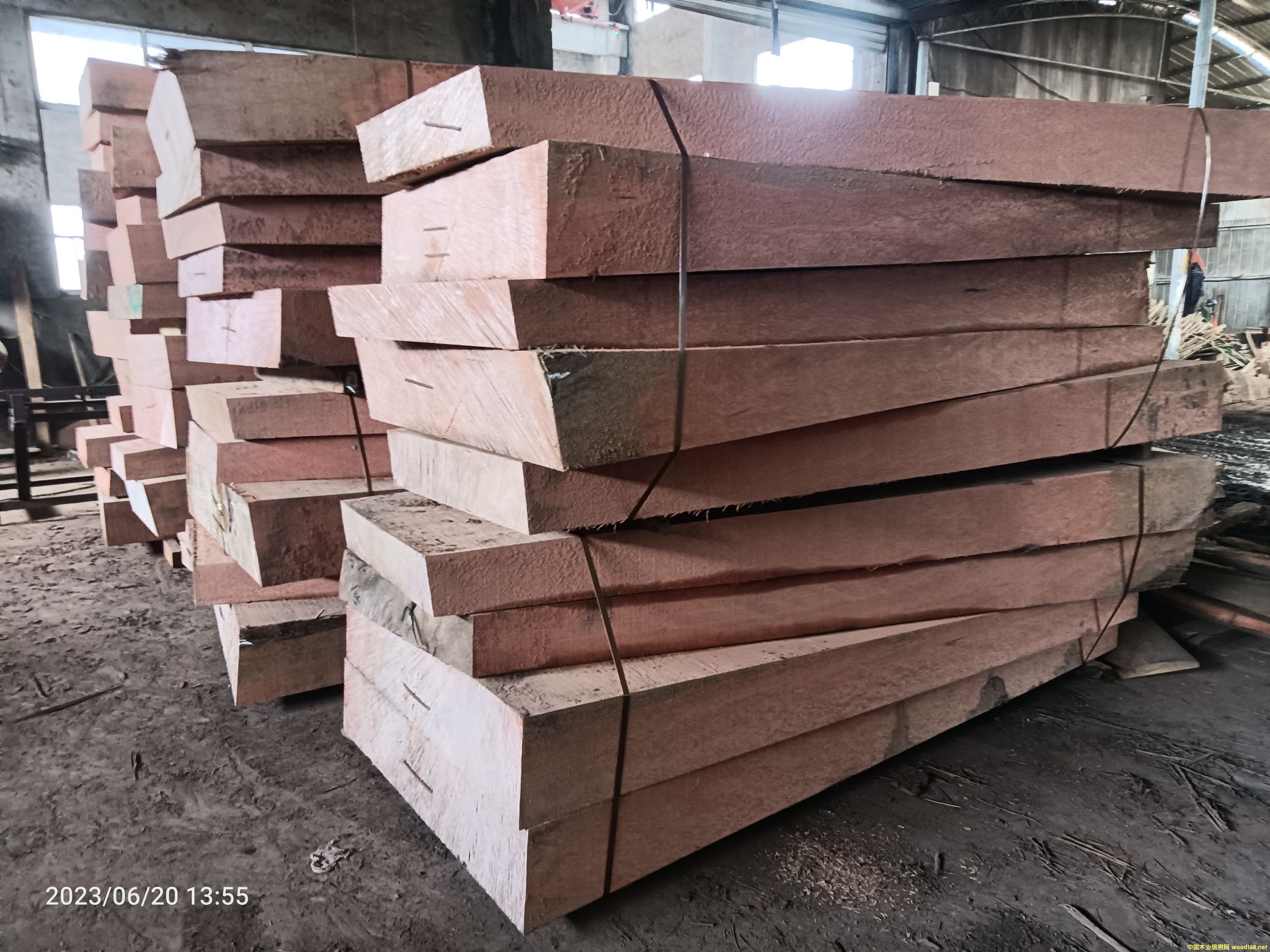 ����ľ�۲�