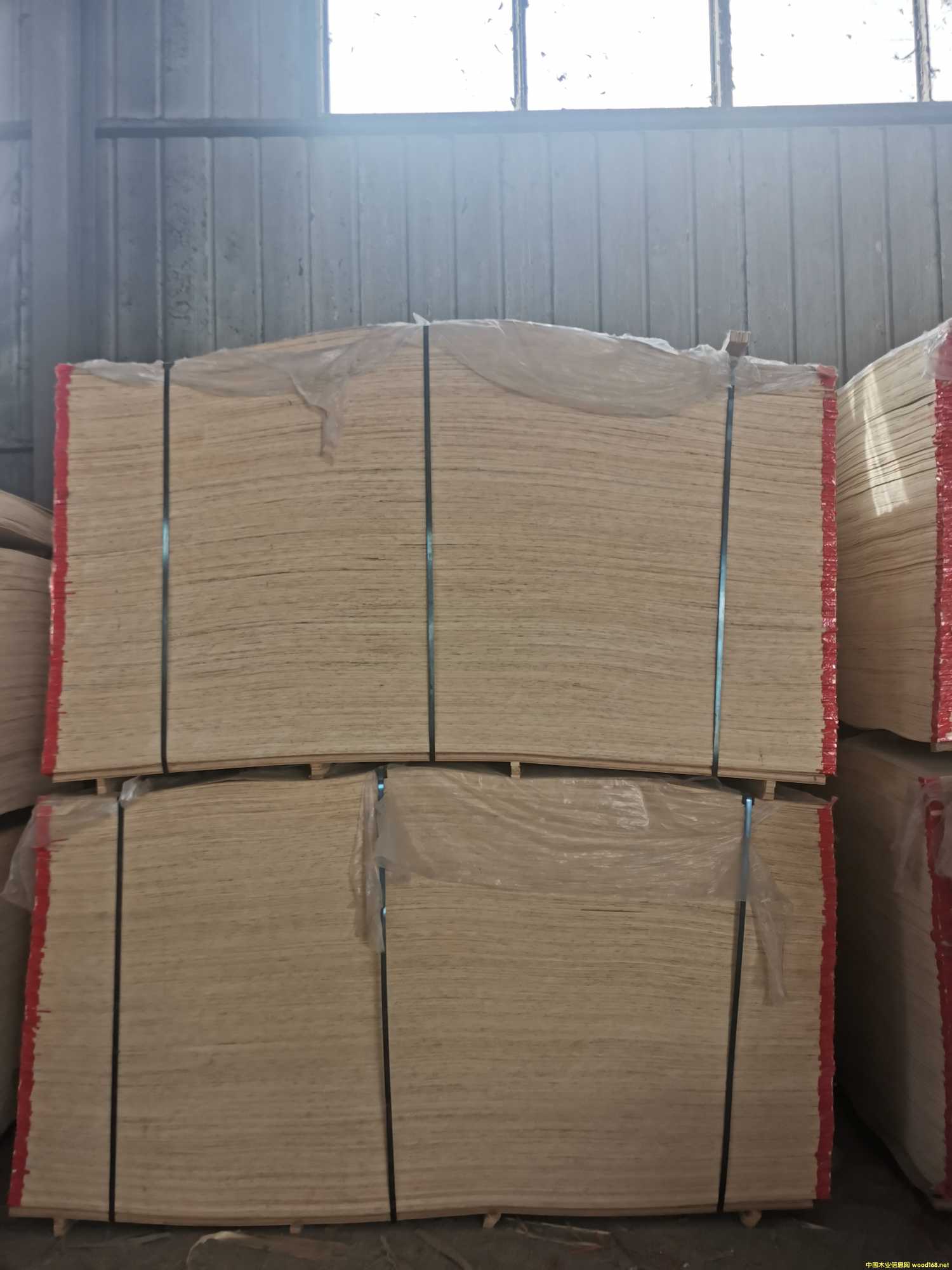 CARBP2��E1��E2 ��ľ ����� ɳ�l(f��)��