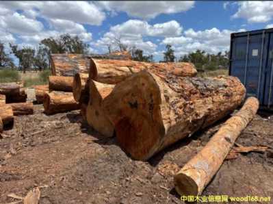 ���~�t���Ԕ��(x��)��B