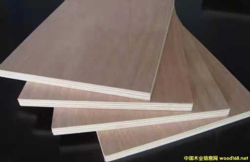 ����ľ�Ҿ߶��Ӱ��Ԕ��(x��)��B