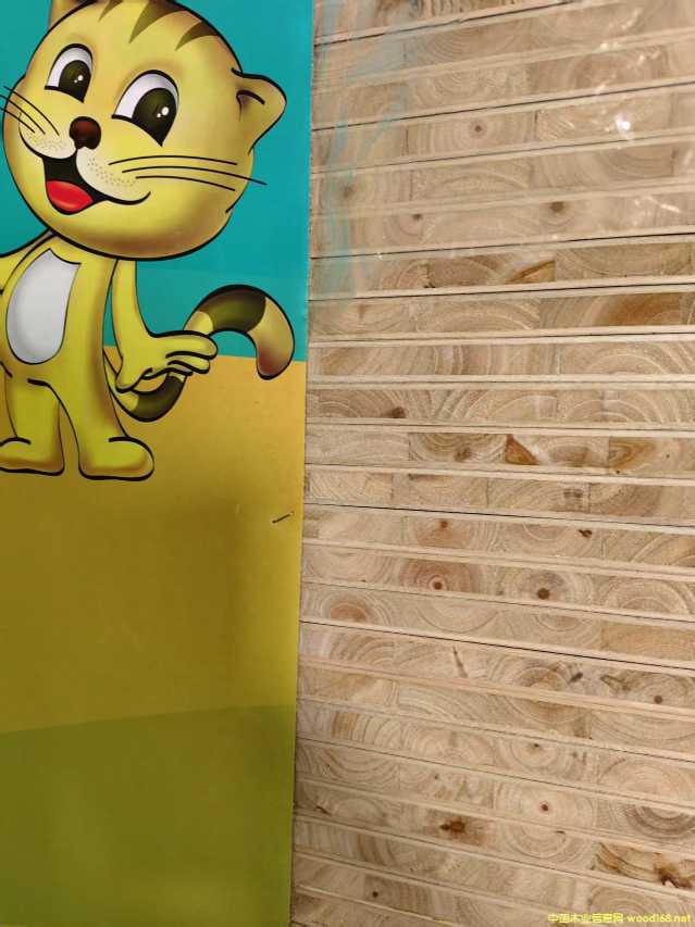 ɼľ���B(t��i)��