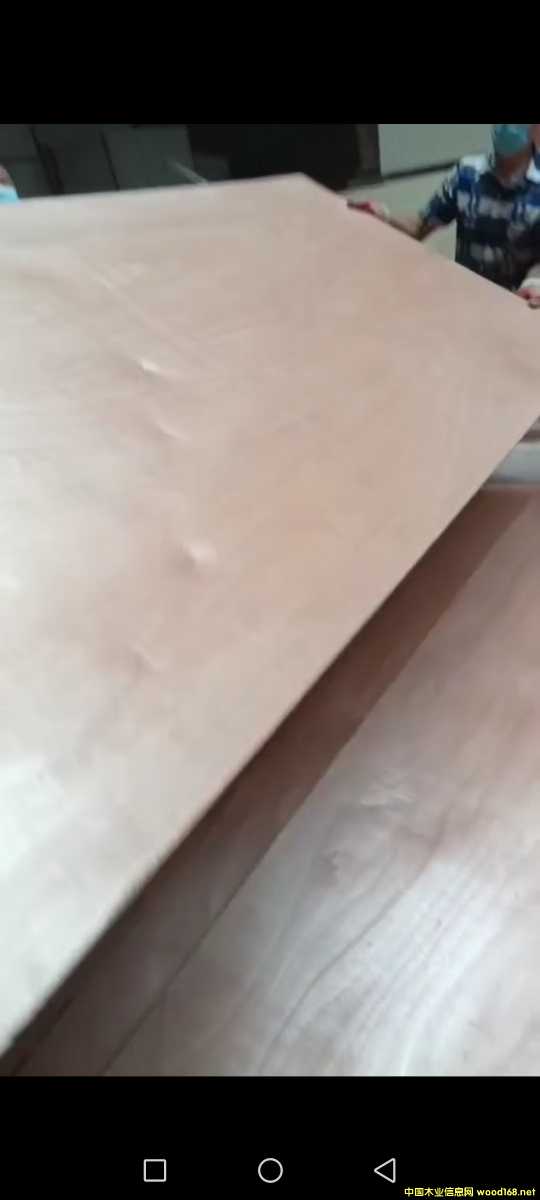  ��Ԕ����B