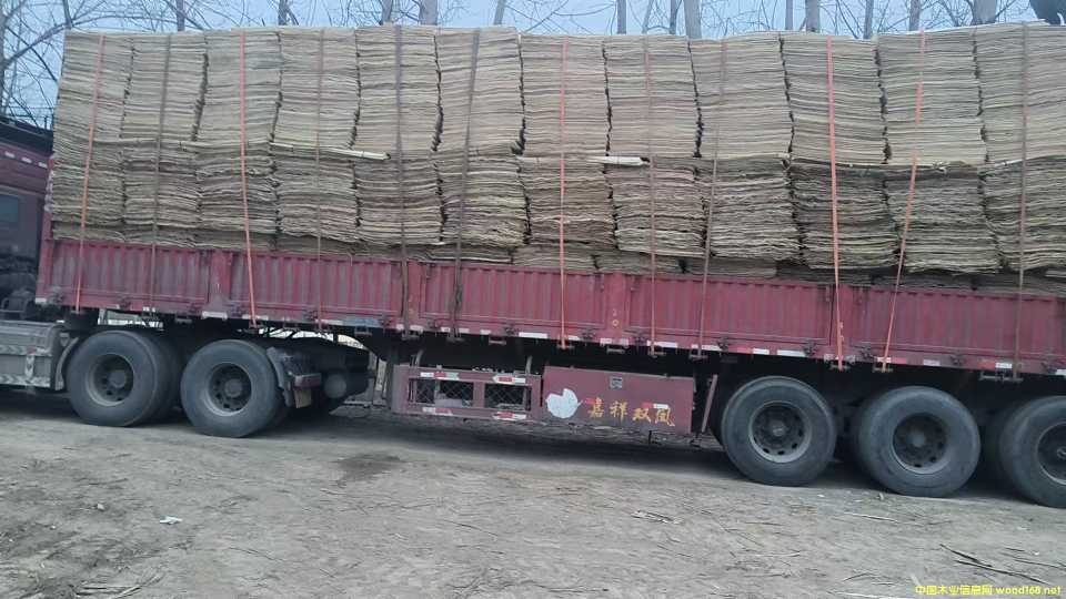  ��Ԕ��(x��)��B