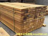 ���޲��}�񡢷���ľ�S�������}��������ľ