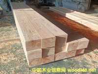 �������������������������Sɼ