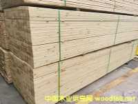 �����ɣ������ɷ���ľ������ľ������