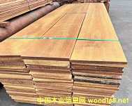 ������ľ����֬ľ��Ѫ�䡢������̩��