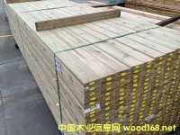 ���mľ����ľ������ľ���mľ�����mľ