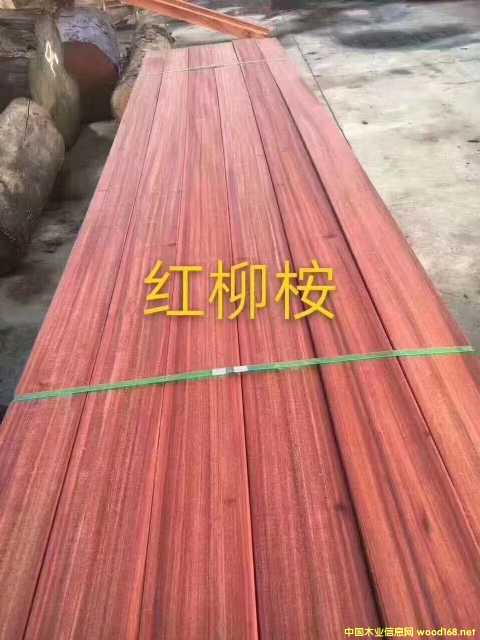 �t����������ľ�t���񡢼t�������ľ