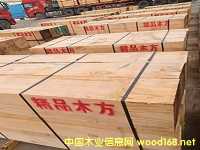 �����mݗ������ݗ���ɷ���ľ������ľ�����mݗ����