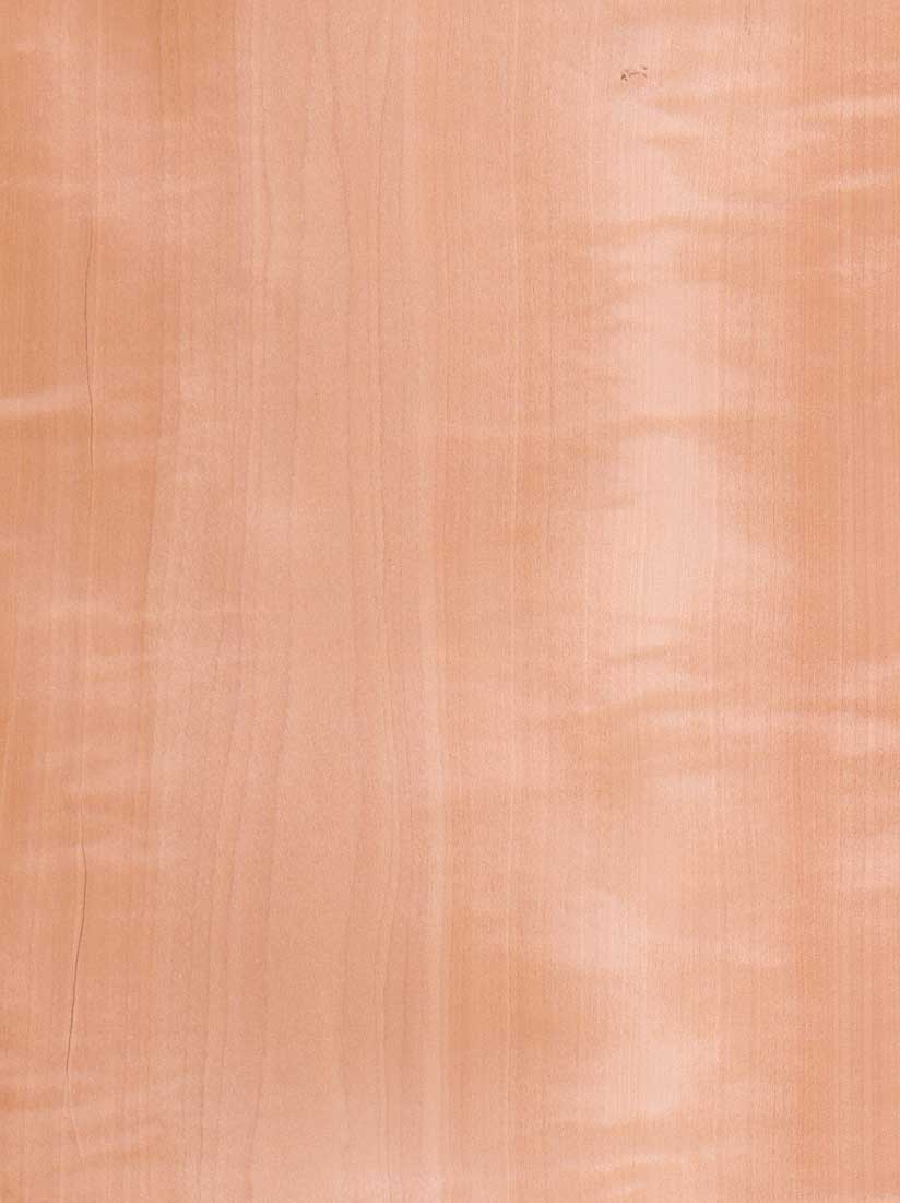 ���N�M(j��n)��ľƤ