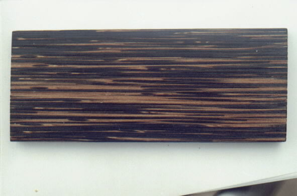 Black Palm��Ԕ����B