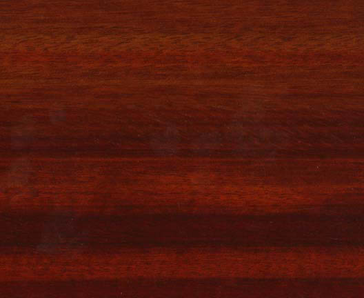 Muirapiranga��Ԕ����B