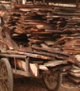 �sľ��Ȼ�����Ԕ����B