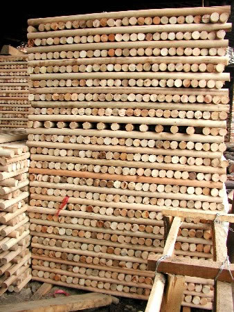 �c���鿴ľ���Ŵ�DƬ