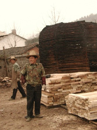 ����ľ,��Ƥľ���,��ľ��(����˵�)